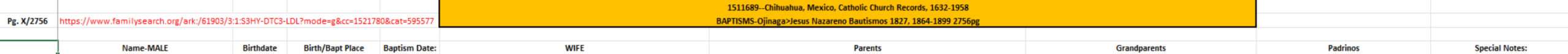 Sample headers for an Excel spreadsheet used to track church records