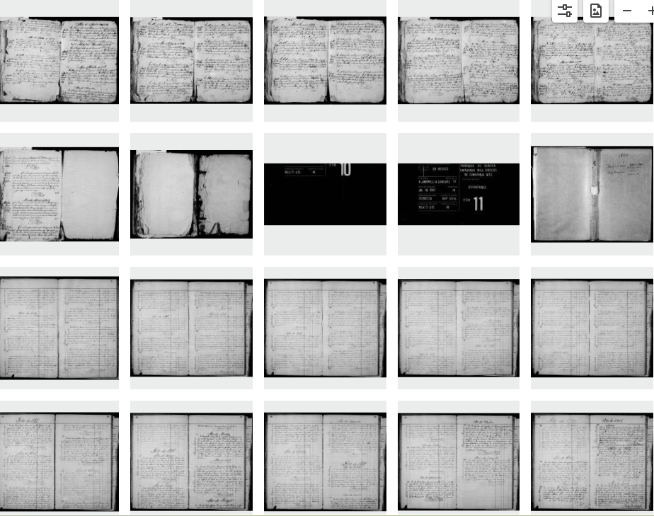 The grid feature on FamilySearch showing the separate books within a volume